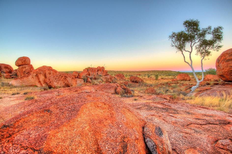 Australien Outback mit Steinen und Bäumen