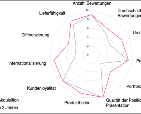 Schwachstellen und Potenziale