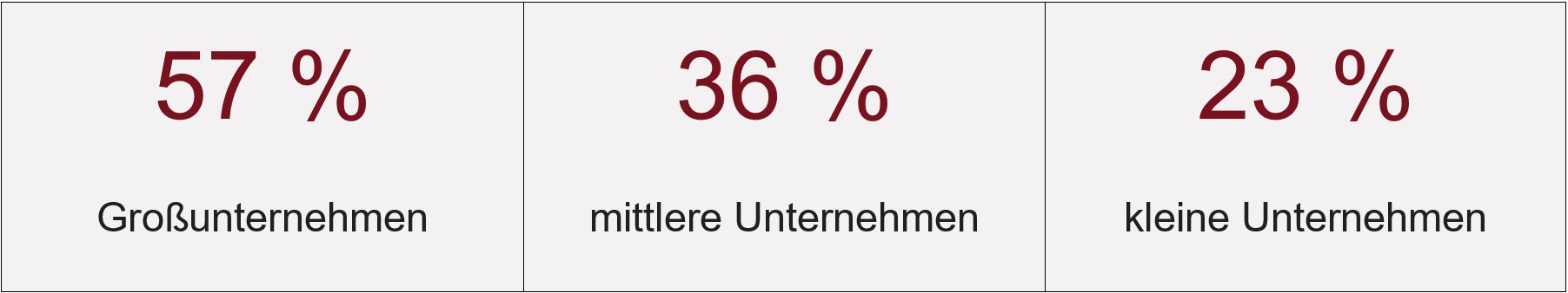 Unternehmen - Thema KI und Umsetzung_web Anteil an Unternehemn, die bereits KI-Technologien nutzen